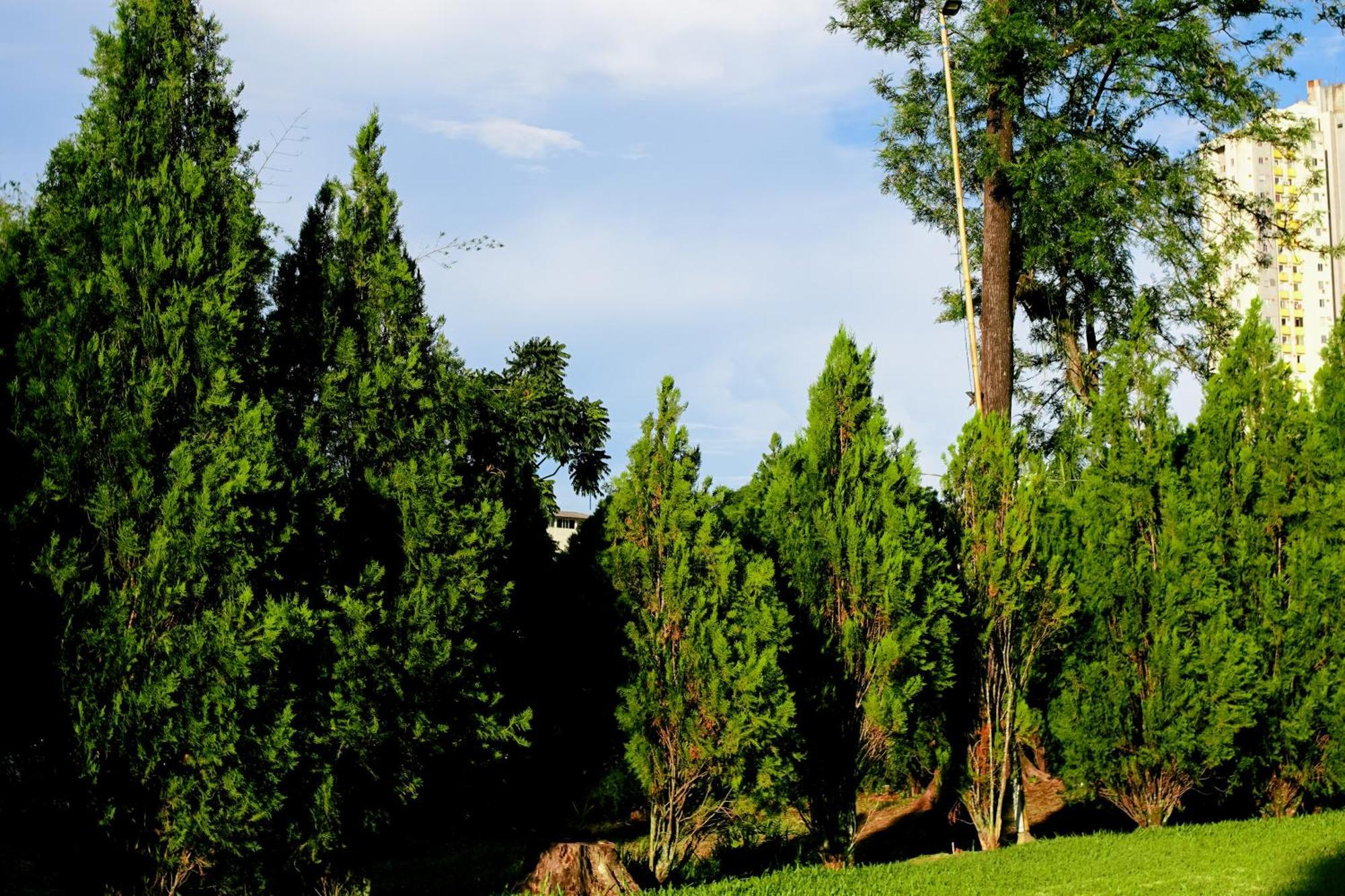 Velinn Hotel Natureza Foz Foz do Iguaçu Esterno foto